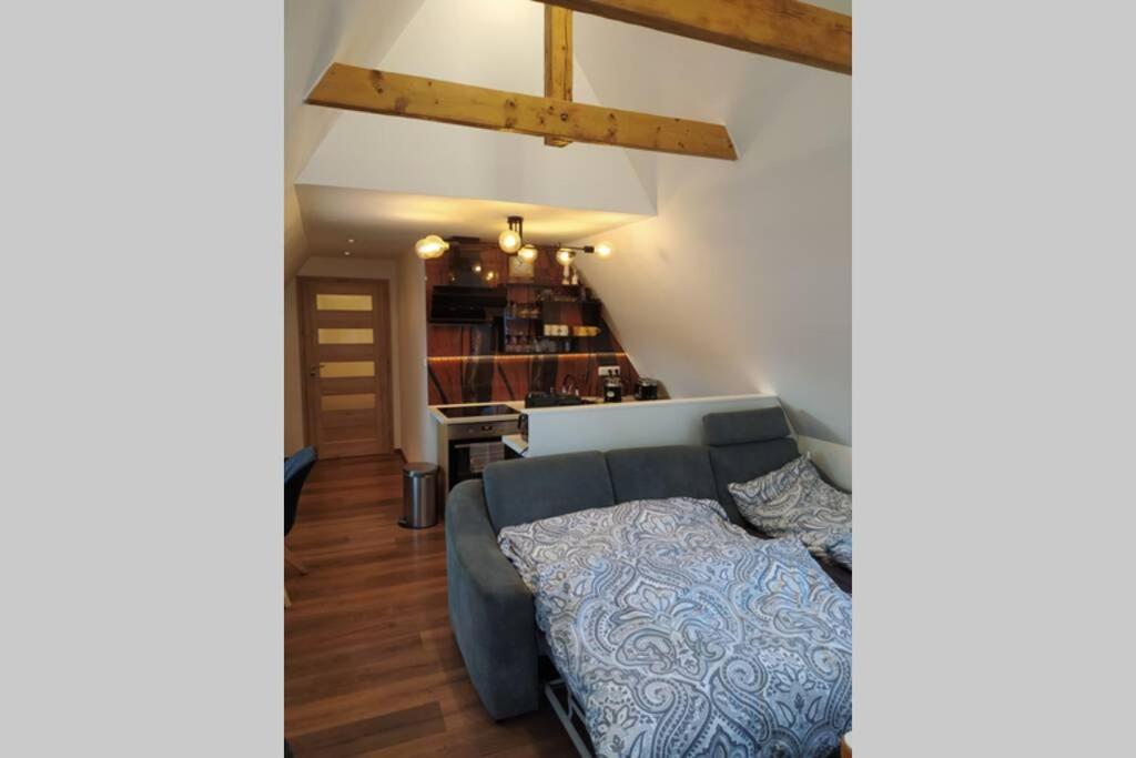 Apartman Atelier Vary V Nove Zrekonstruovanem Dome Karlsbad Buitenkant foto