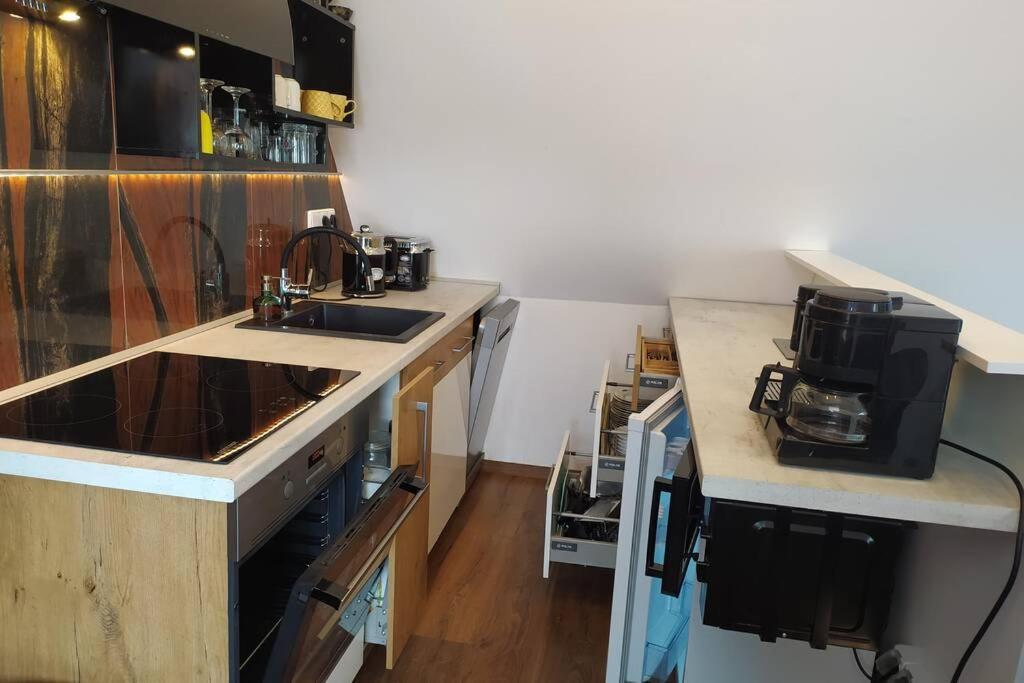 Apartman Atelier Vary V Nove Zrekonstruovanem Dome Karlsbad Buitenkant foto