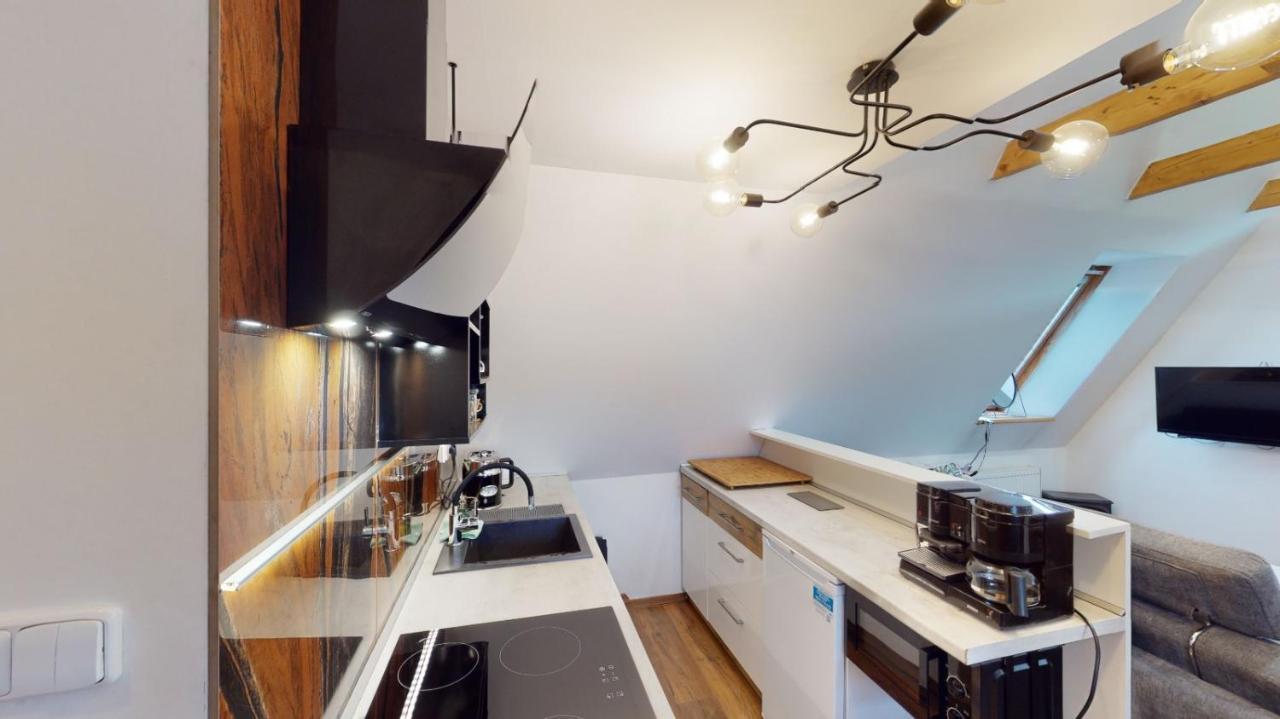 Apartman Atelier Vary V Nove Zrekonstruovanem Dome Karlsbad Buitenkant foto